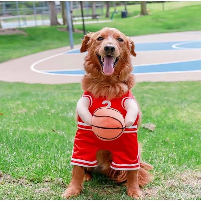 Basketball Player Dog Costume: Funny Jersey Outfit with Ball & Arms for Small Dogs