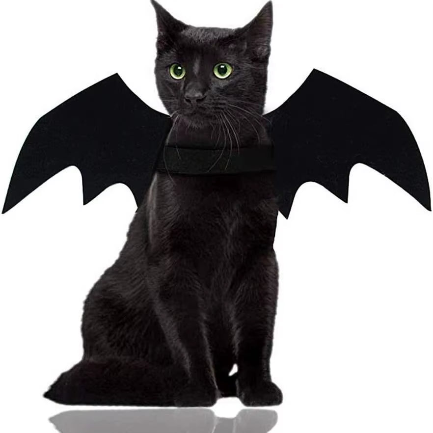 Bat Wings Costume for Cats & Small Dogs: Cute Halloween Pet Costume with Adjustable Strap