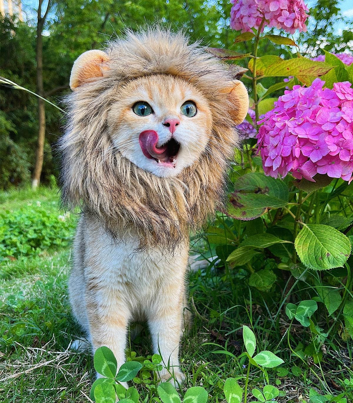 Lion Mane Costume for Cats: Adorable Fluffy Wig with Ears for Halloween, Christmas & Photos