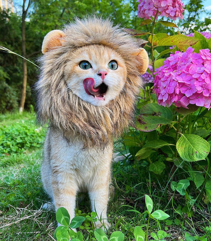 Lion Mane Costume for Cats: Adorable Fluffy Wig with Ears for Halloween, Christmas & Photos