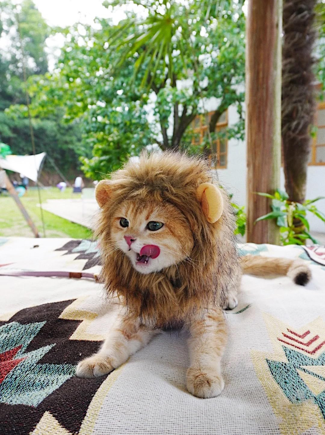 Lion Mane Costume for Cats: Adorable Fluffy Wig with Ears for Halloween, Christmas & Photos