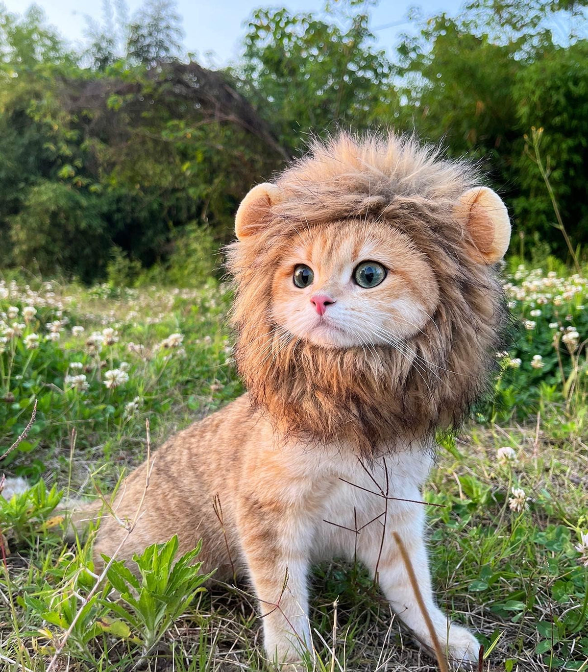 Lion Mane Costume for Cats: Adorable Fluffy Wig with Ears for Halloween, Christmas & Photos