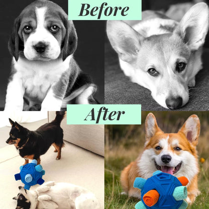 Snuffle Ball Treat Toy for Dogs: Interactive Slow Feeder That Keeps Them Busy & Sniffing