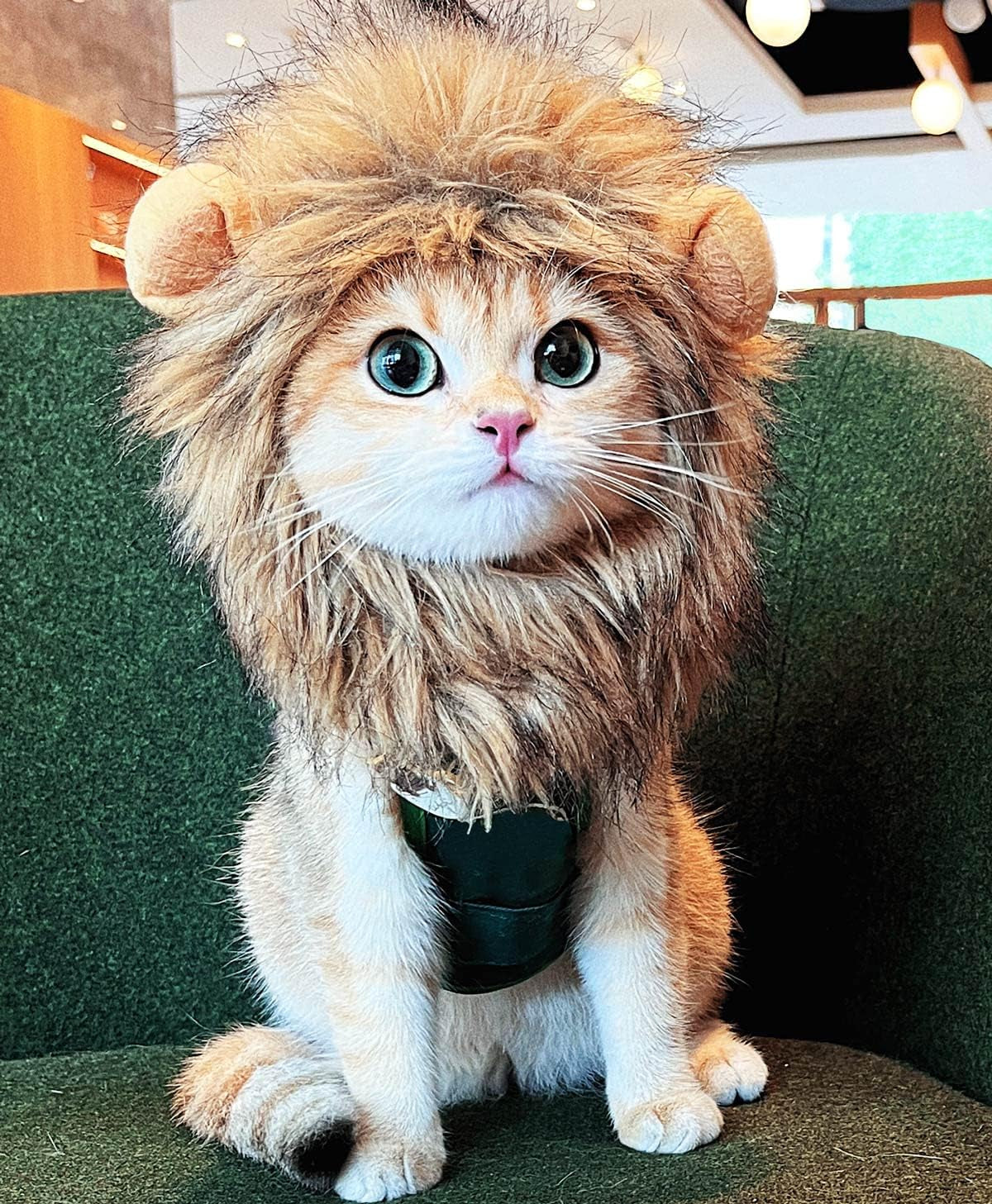 Lion Mane Costume for Cats: Adorable Fluffy Wig with Ears for Halloween, Christmas & Photos