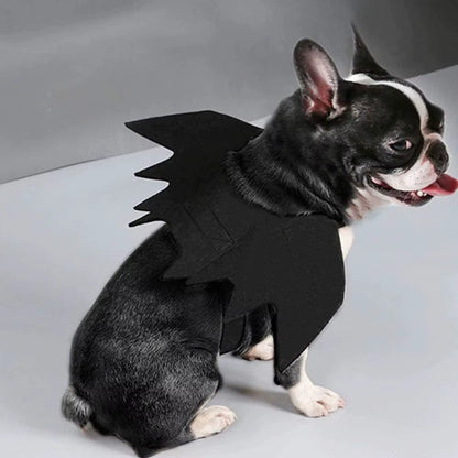 Bat Wings Costume for Cats & Small Dogs: Cute Halloween Pet Costume with Adjustable Strap