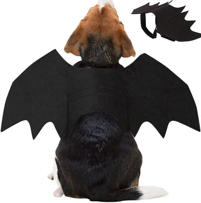 Bat Wings Costume for Cats & Small Dogs: Cute Halloween Pet Costume with Adjustable Strap
